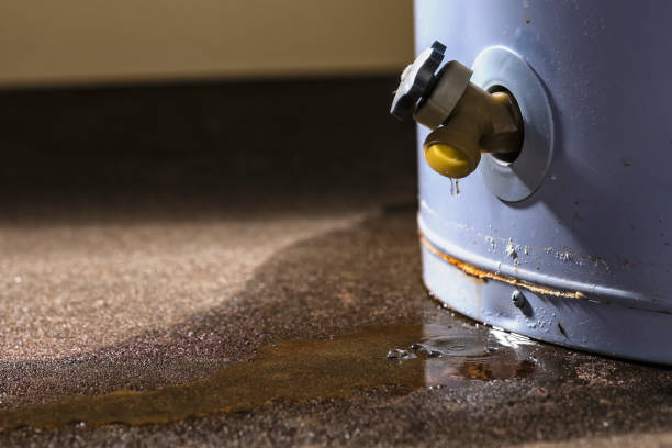 Best Water damage restoration near me  in Great Neck Gardens, NY