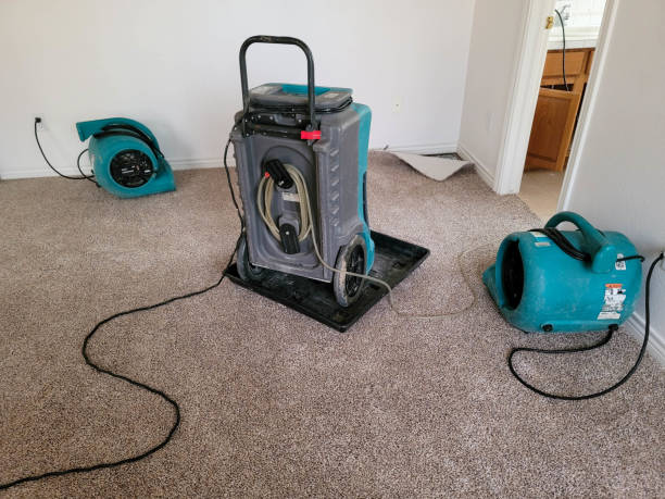Best 24-hour water damage restoration  in Great Neck Gardens, NY