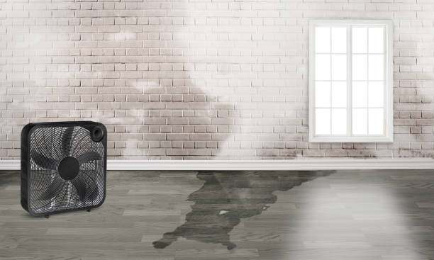 Water damage restoration insurance claims in Great Neck Gardens, NY