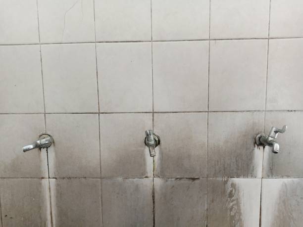 Best Residential water damage restoration  in Great Neck Gardens, NY