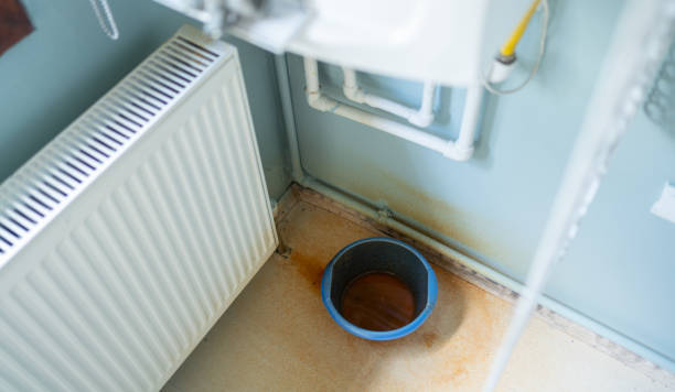 Best Mold removal after water damage  in Great Neck Gardens, NY