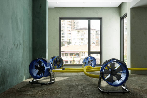 Best Water damage cleanup near me  in Great Neck Gardens, NY